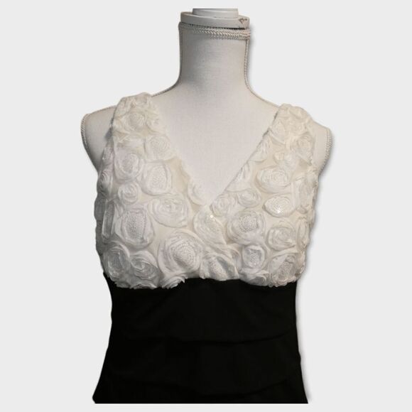 Enfocus Petite Women's Form Fitting Colorblock Cocktail Dress Size 12P - Picture 3 of 6